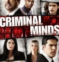 Criminal Minds (2005-)