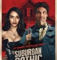 Suburban Gothic (2014) Hdrip