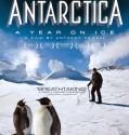 Antarctica: A Year on Ice (2013) BRrip