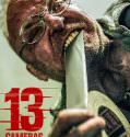 13 Cameras (2015)