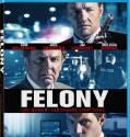 Felony (2013)