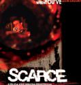 Scarce (2008)