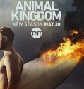 Animal Kingdom (2016-)