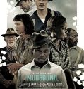 Mudbound (2017)
