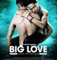 Big Love (2012)