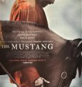 THE MUSTANG (2019)