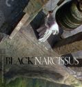Black Narcissus (2020-) Black Narcissus (2020-)
